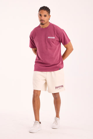 Passion Heavyweight Washed Tshirt