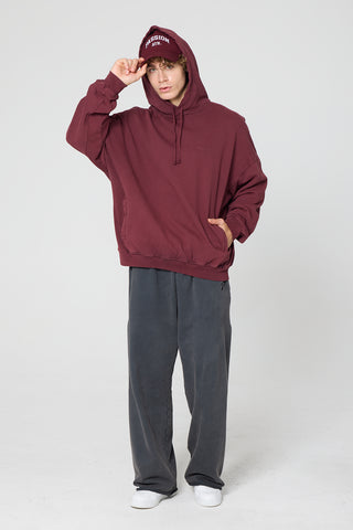 Passion Washed Hoodie
